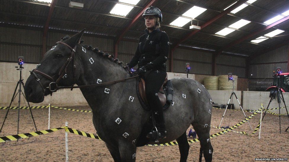 Motion capture improves animation of animals BBC News