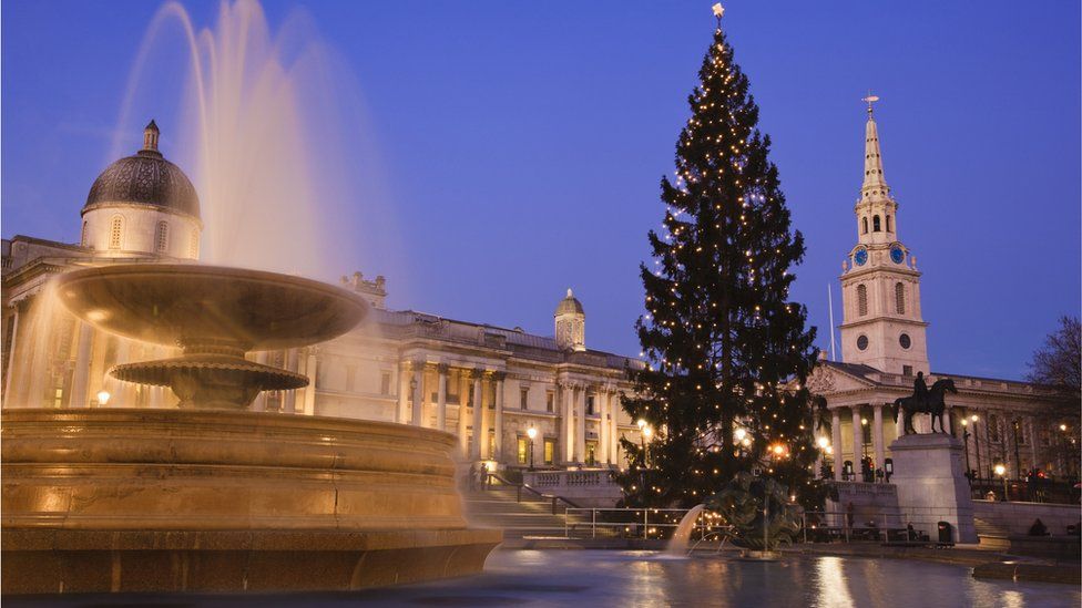 Christmas tree lit up in Trafalgar Square
