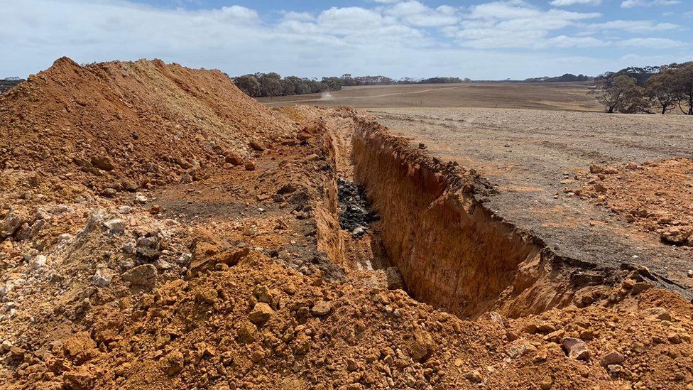 A large trench with animal carcasses on kangaroo island