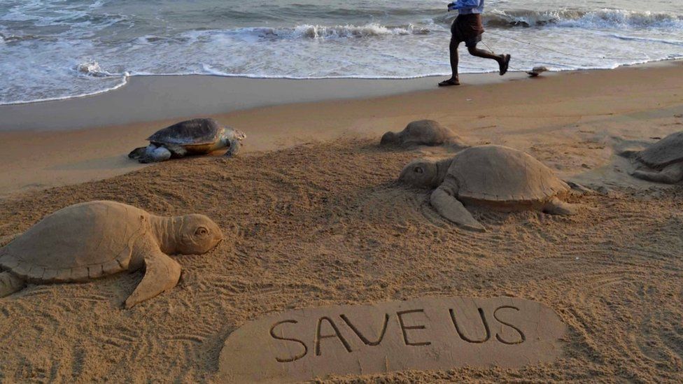 The carcass of a dead olive ridley turtle (2nd L) is pictured amid a sand sculpture of sea turtles by sand artist Sudarsan Pattnaik at Puri beach, some 65 kilometers from Bhubaneswar, on February 9, 2014. T