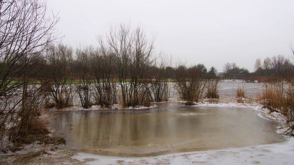 Part of the new floodplain wetland mosaic habitat at Pinkhill Meadow
