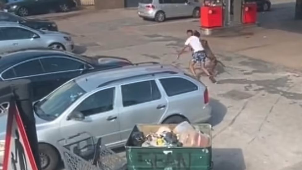 Image taken from video of dog attack