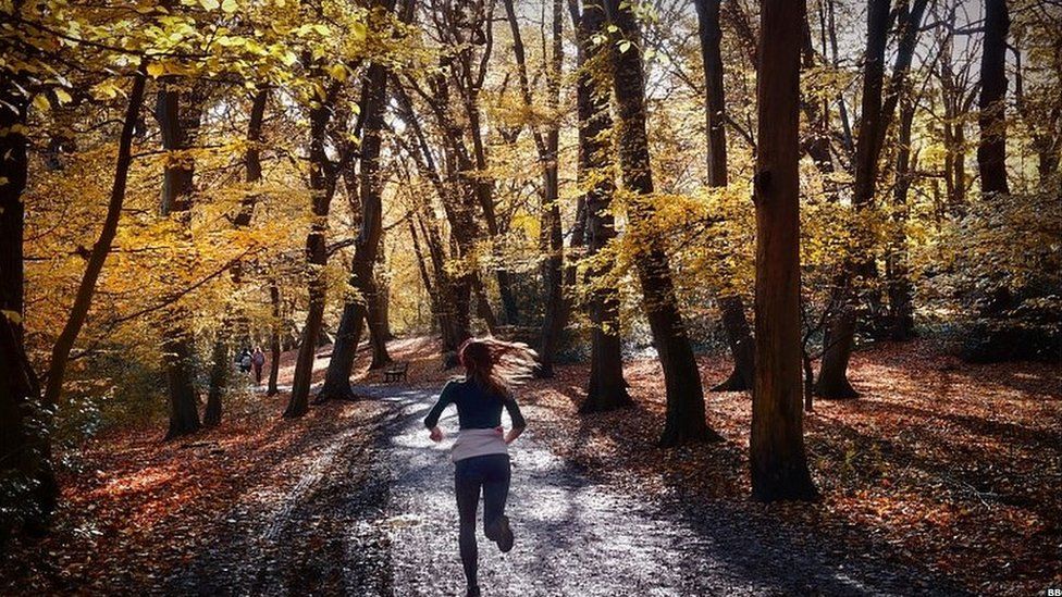 Woman jogging through wood in north London