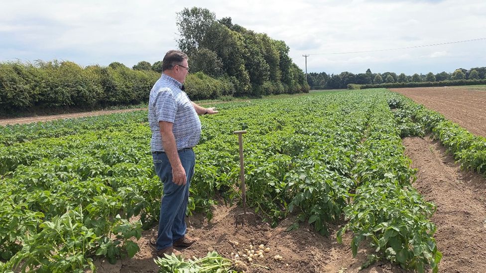 John Hardy in a shirt and jeans with glasses on, stood in a potato field reaching out to a rake stuck in the ground