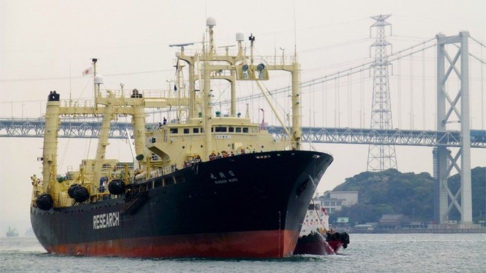 Japanese whaling vessel Nisshin Maru (file image)