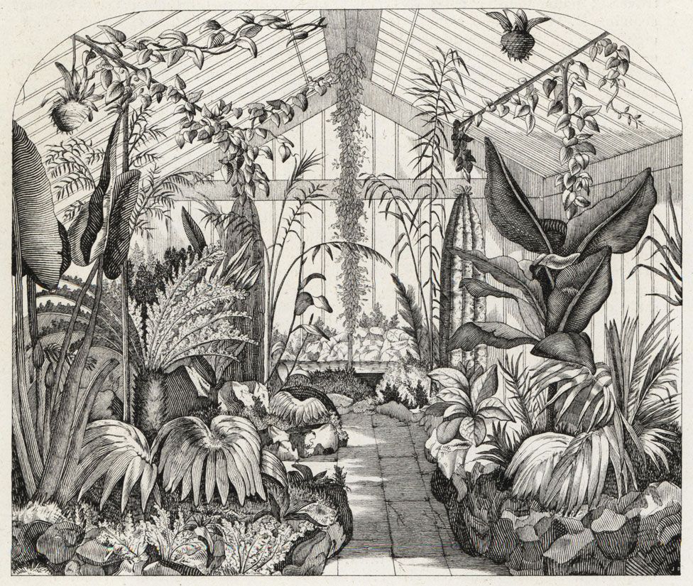 The interior of Nathaniel Ward's fern greenhouse, London, 1851