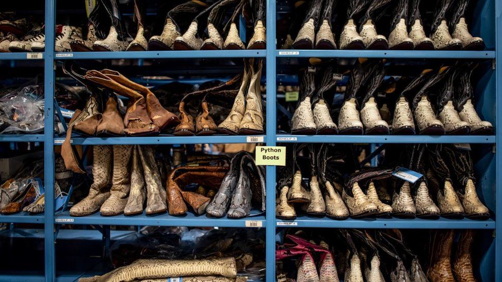 Shelves of python boots
