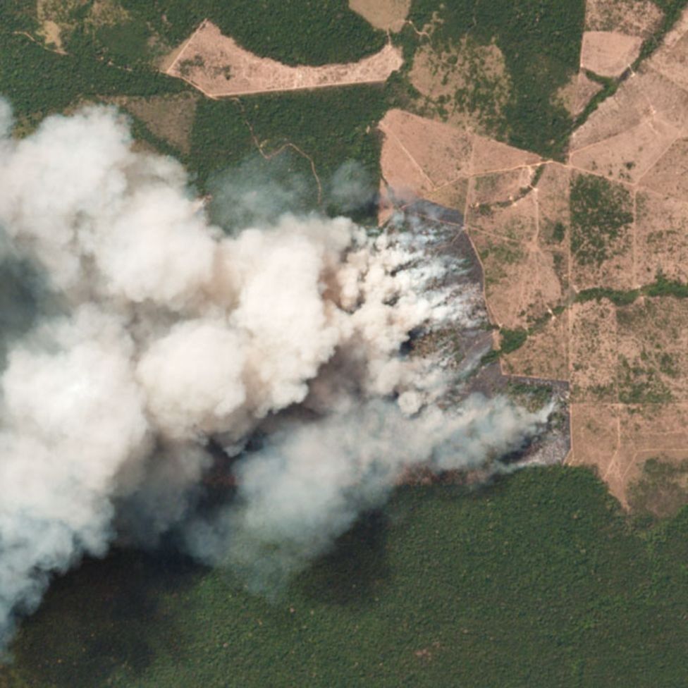 حرائق غابات الأمازون ما الذي يمكن أن تسببه حرائق غير مسبوقة منذ