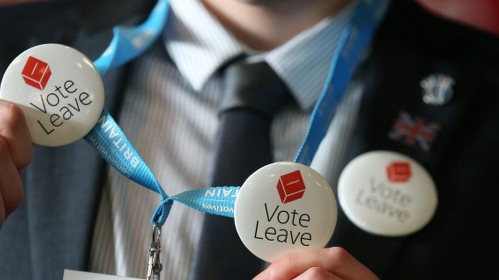 Vote Leave campaigner