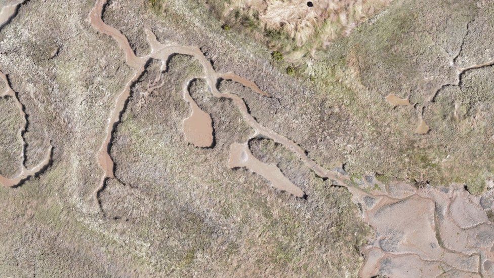 The location of the original mud dock where HMS Beagle was most likely dismantled has been identified