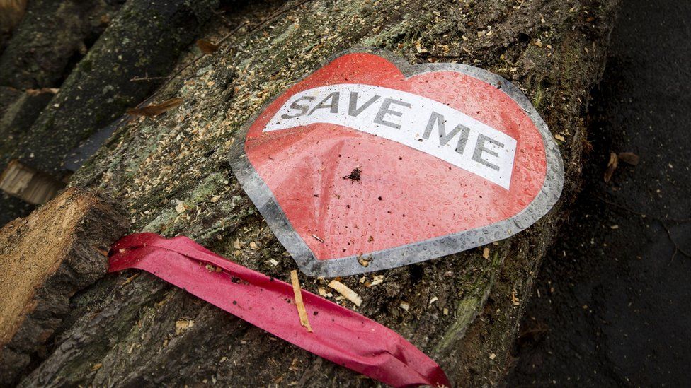 'Save Me' sign on felled tree