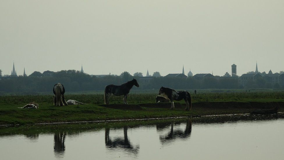 TUESDAY - Port Meadow, Oxford