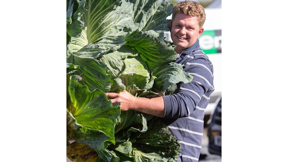 Malvern Autumn Show: Check out these massive vegetables! - BBC Newsround