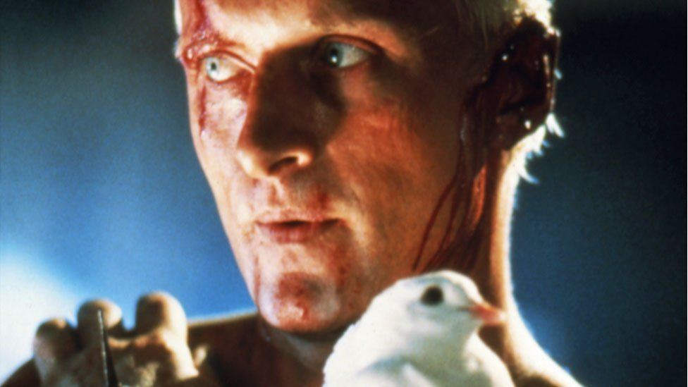 Rutger Hauer: Blade Runner actor dies aged 75 - BBC News