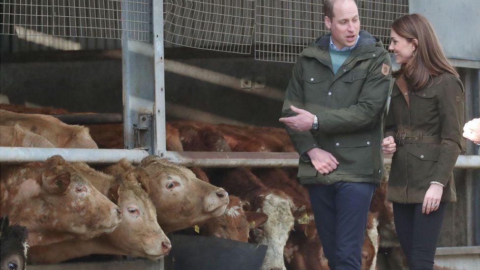 Duke and Duchess of Cambridge during a visit to the Teagasc research farm in County Meath