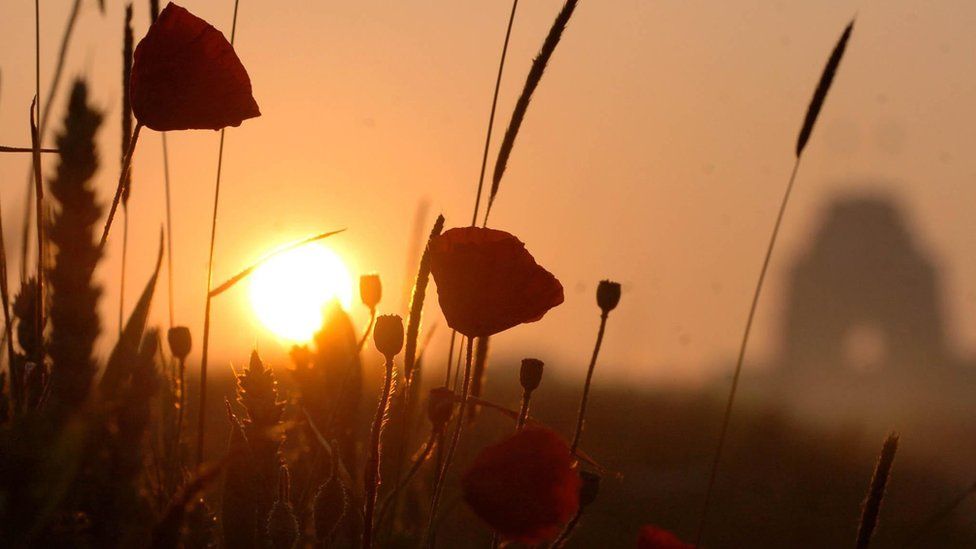 The sun rises over poppies in a field next to the Thiepval Memorial Monument in northern France which commemorates the Battle of the Somme.
