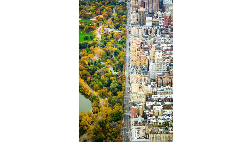 An aerial view of Central Park, New York