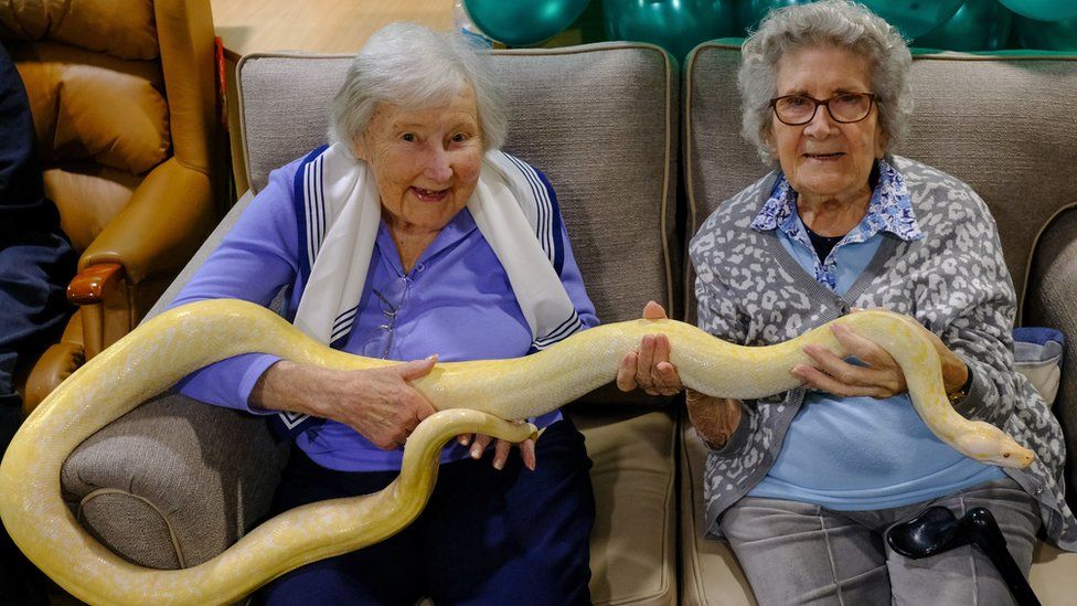 Doreen Barber (left), 96, and Mary Tierney, 92, holding a 6ft-long albino snake