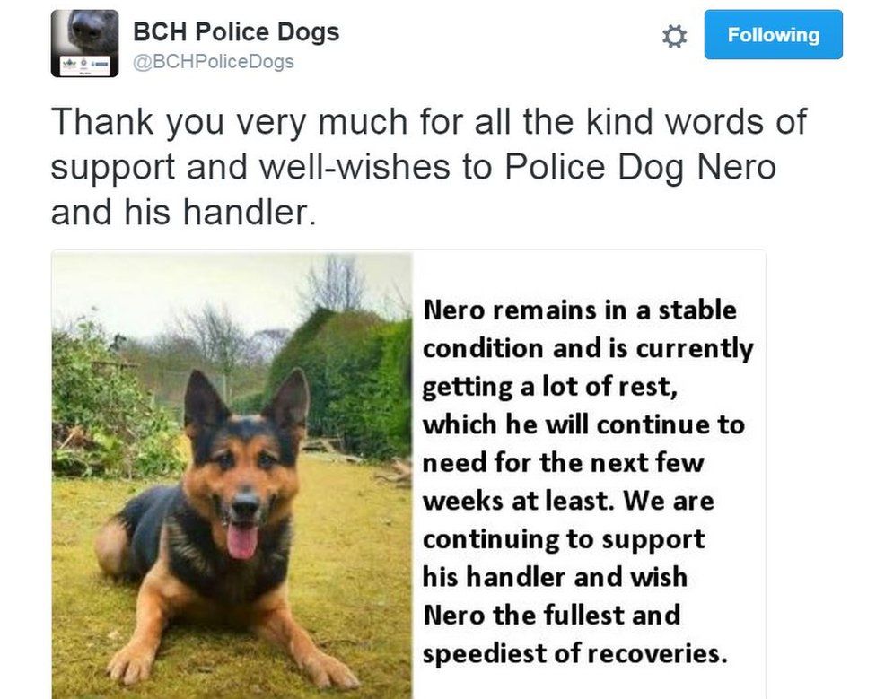 Tweet about police dog