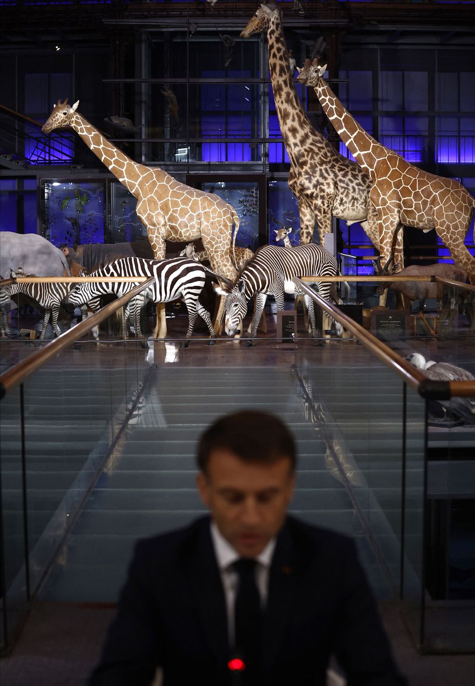 French President Emmanuel Macron attends a working session during the One Planet Polar Summit as part of the Paris Peace Forum, at the French National Museum of Natural History (Muséum national d'histoire naturelle, MNHN) in Paris, on November 10, 2023.