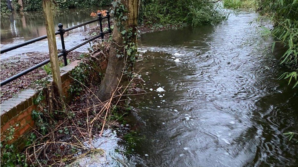 Chiltern Chalk Streams said Thames Water had been "pumping screened sewage" into the River Misbourne near Amersham, Buckinghamshire