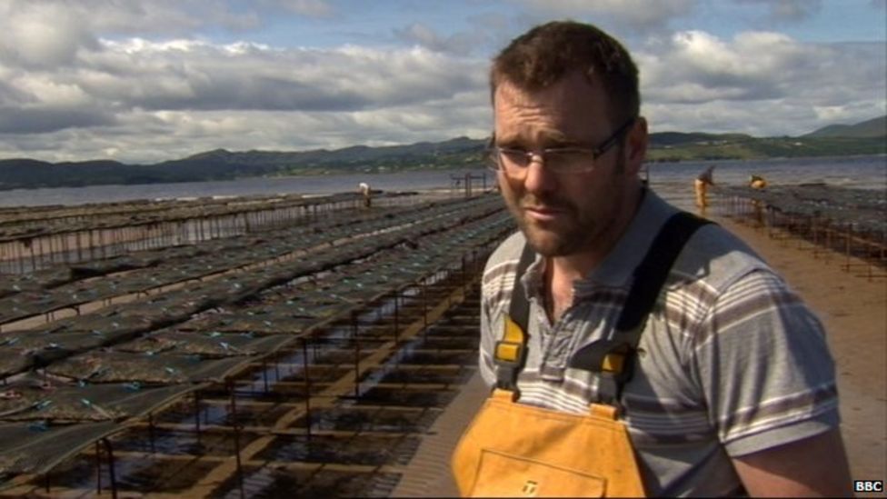 County Donegal Row erupts over oyster farm at beach beauty spot BBC News