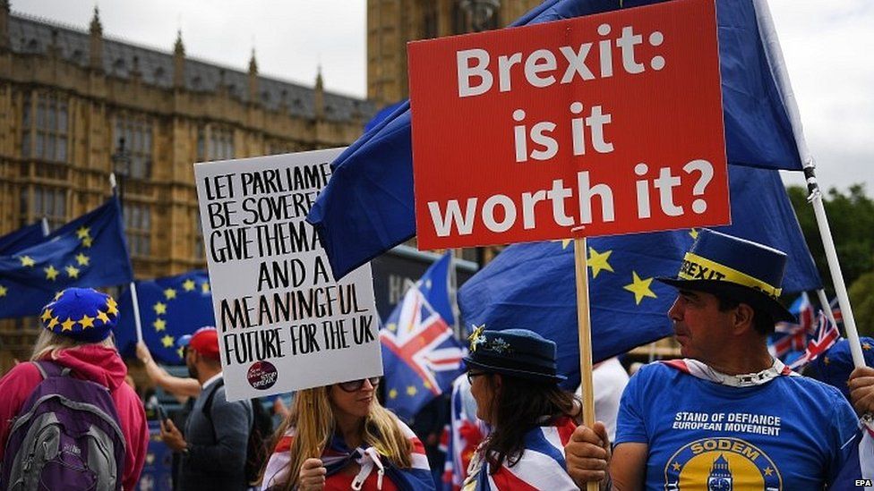 Anti-Brexit campaigner outside Parliament