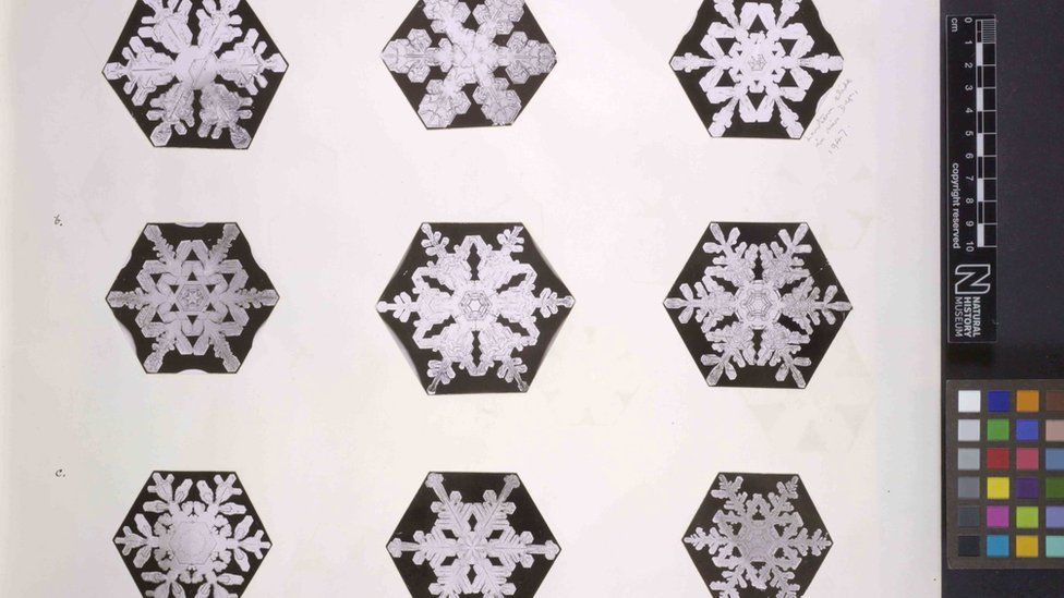 Geometric Snowflakes set to be issued Oct. 23 at ASDA New York show