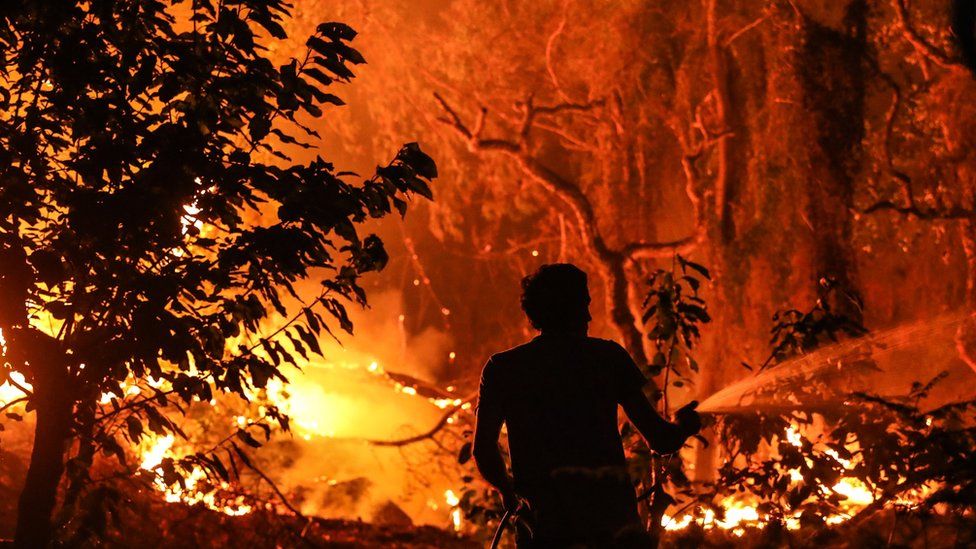 Man dousing wildfire raging near Monchique, 6 Aug 18