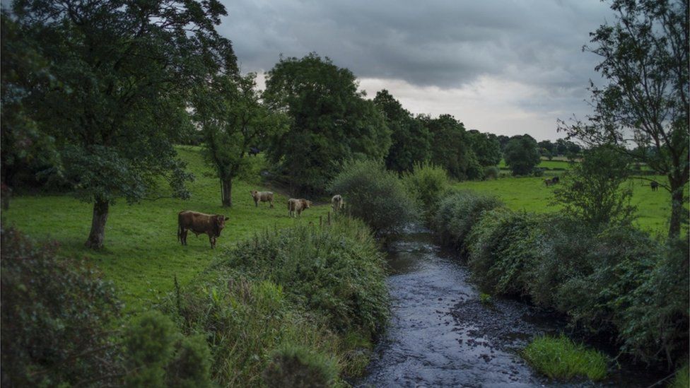 A river runs between two fields, one in Northern Ireland and one in the Republic of Ireland