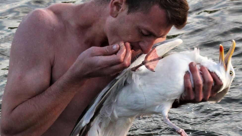 Man rescues seagull