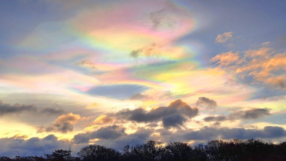 Rainbow coloured clouds fill the sky above a line of trees