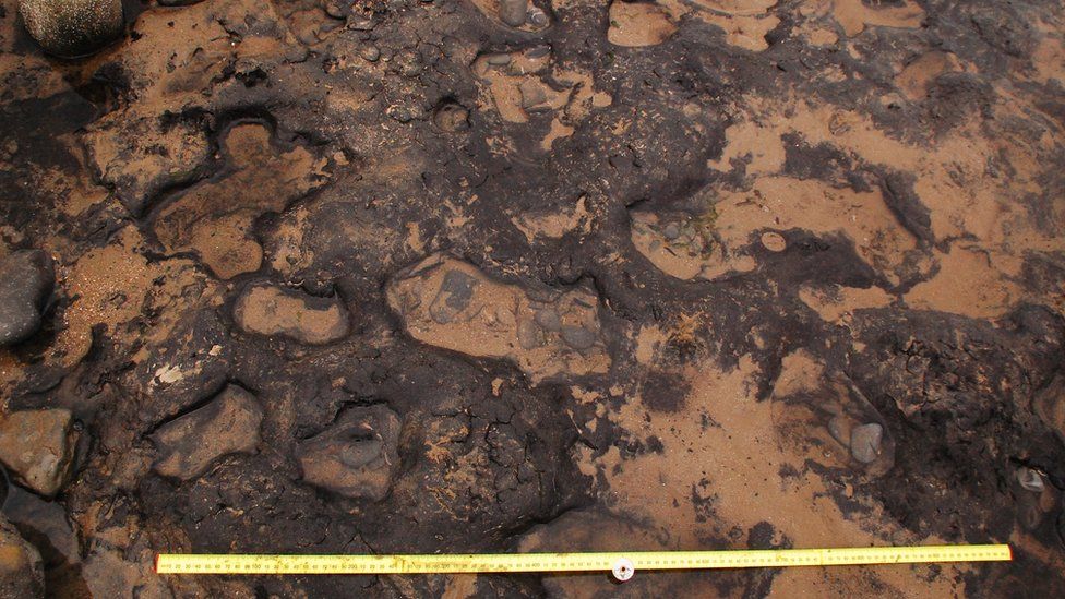 Mesolithic footprints found on Gower beach