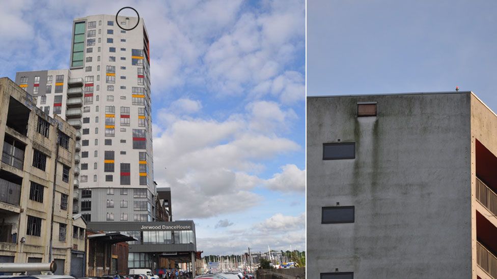 The Mill, Ipswich showing nest box