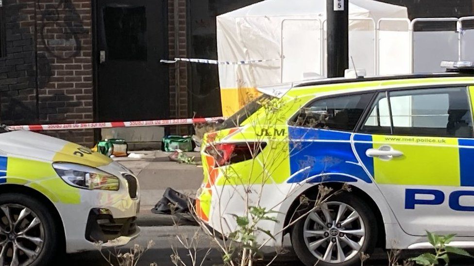 Flowers lying near two green paramedic bags and a white tent, in between two police cars