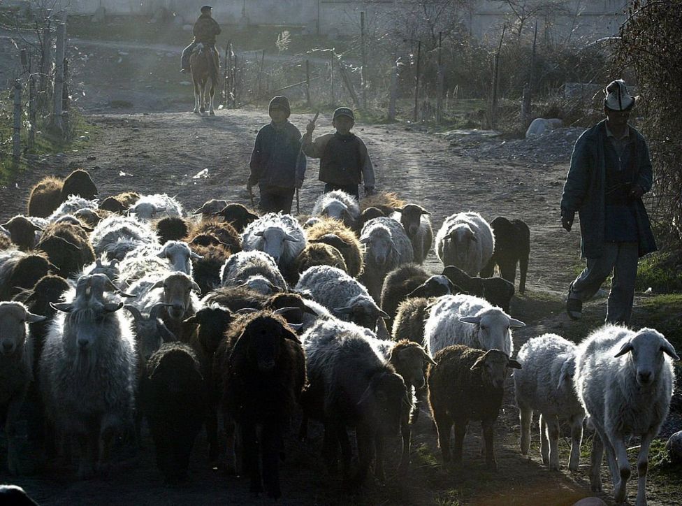 Дети в Кыргызстане