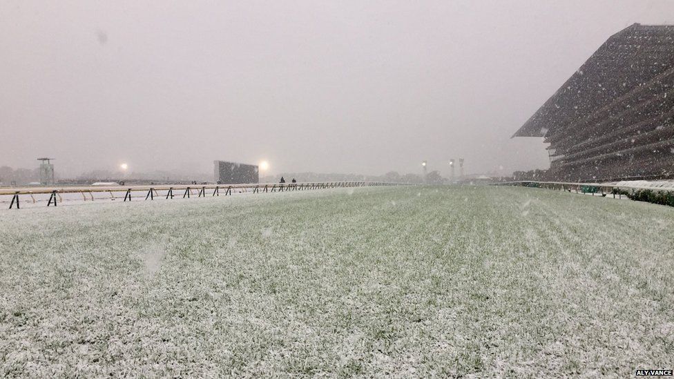 Snow Falls in Tokyo for the First Time in November Since 1962