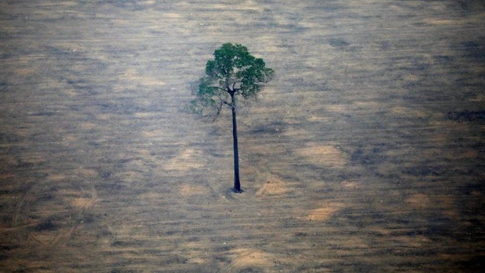 Вид с воздуха на обезлесенный район Амазонки