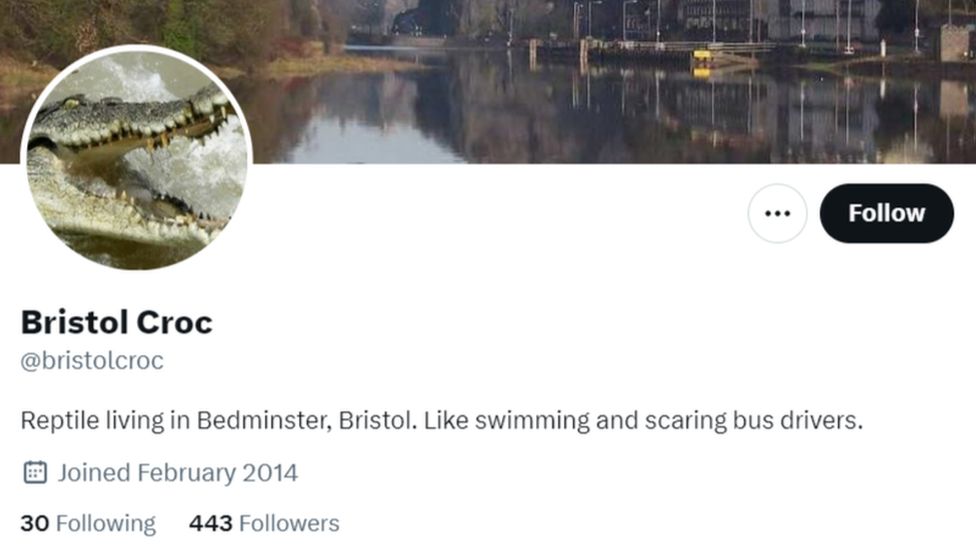 A screenshot of the homepage of the Bristol Croc twitter account