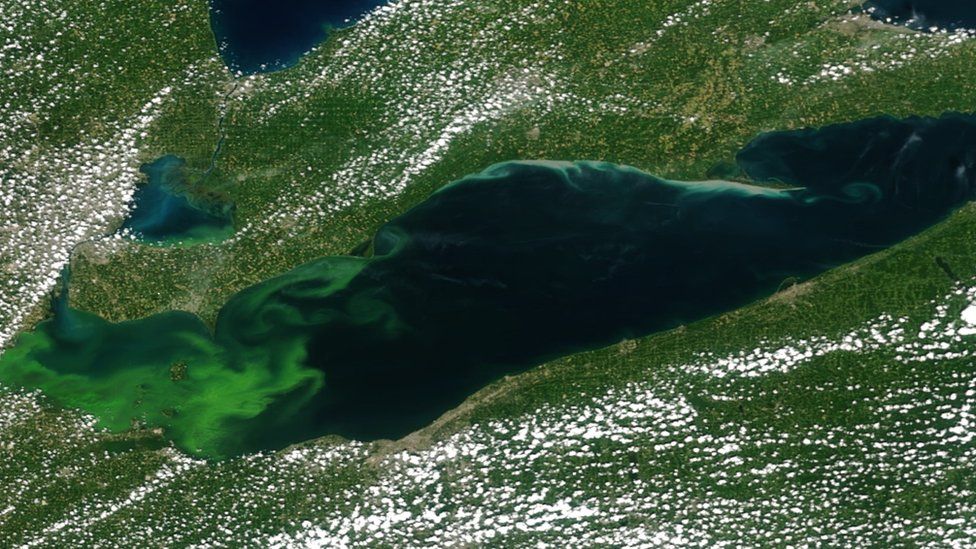 Dr Stumpf and his team use satellite imagery to track the algae bloom on Lake Erie
