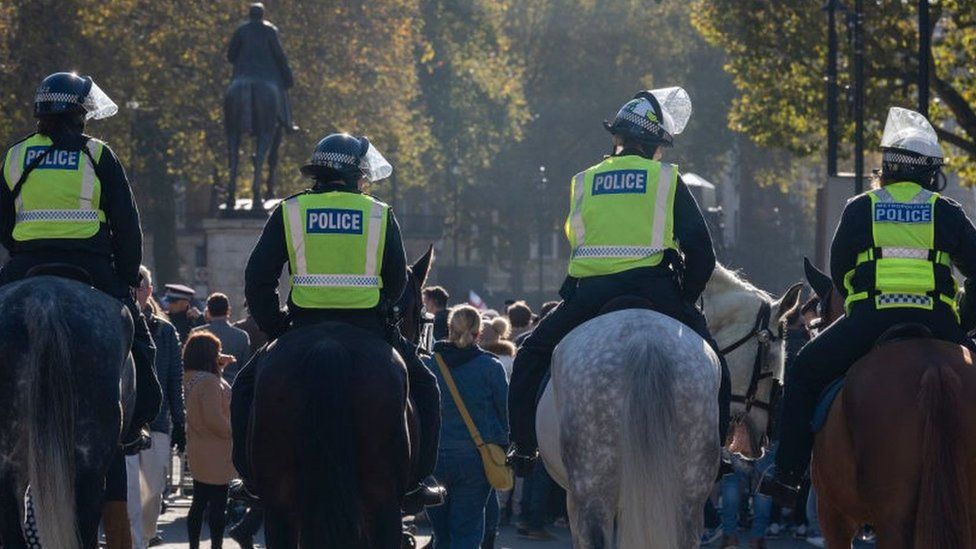 A row of police officers, on horses, oversee a protest in London