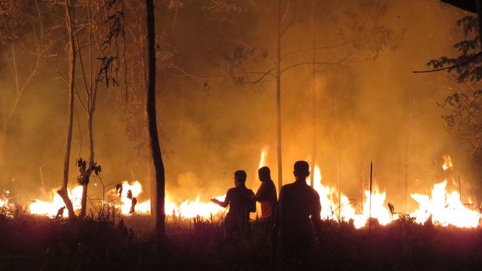 Forest fires in Indonesia