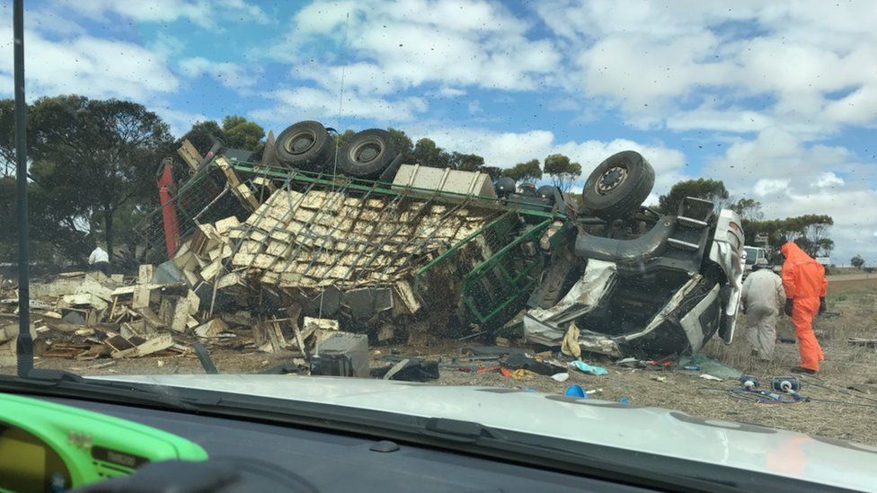 A bee-transporting lorry in a highway crash in Australia