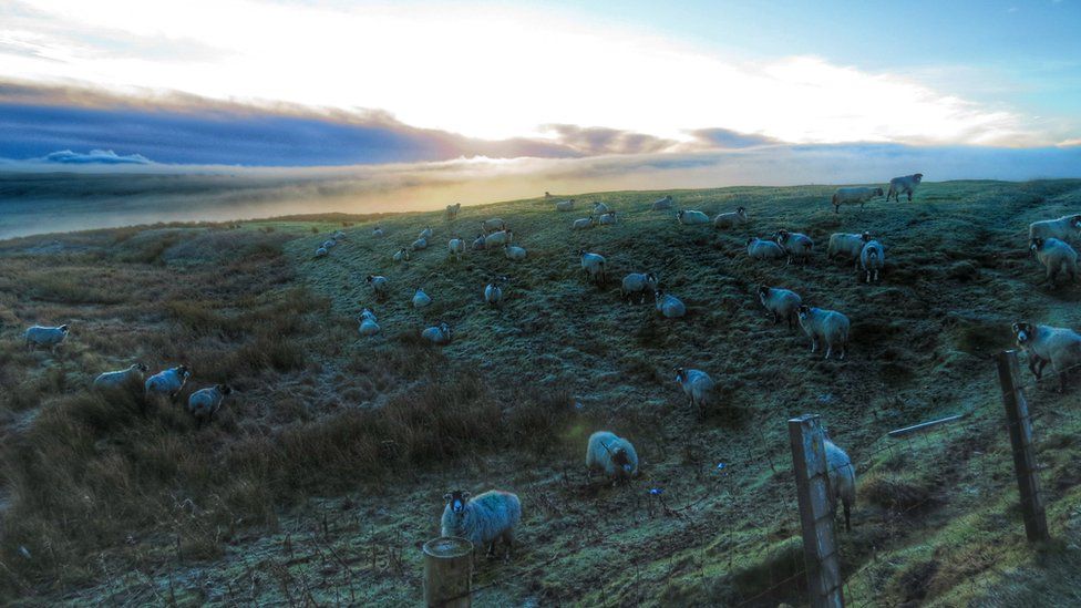 England's Big Picture 11 17 January 2016 BBC News