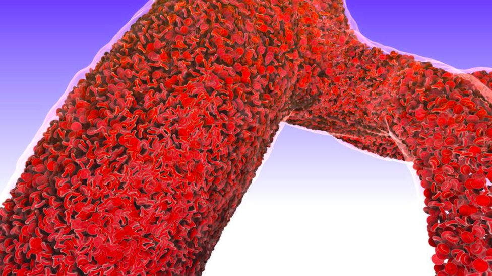 simulated blood cells in a large vessel
