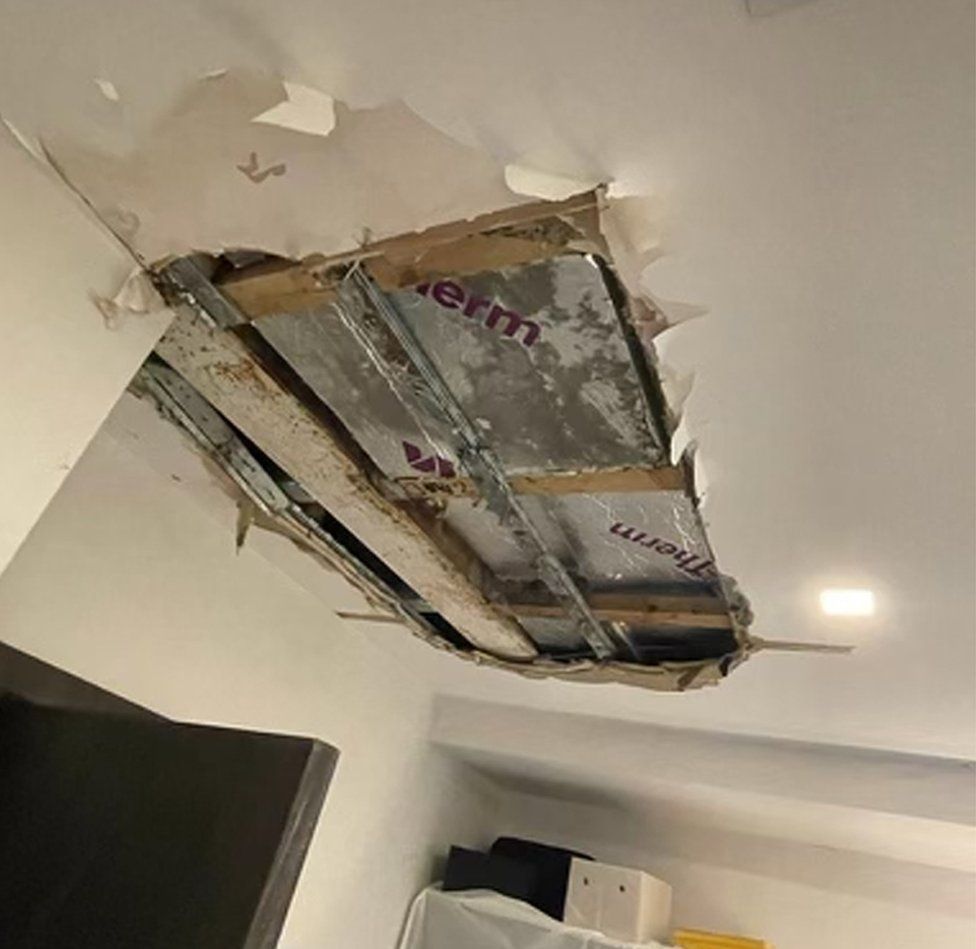 Ceiling panel exposed