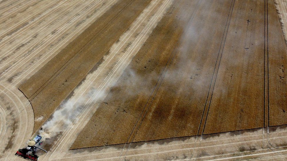 Aerial view of parched harvest