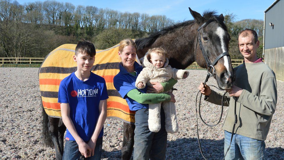 'Schwarzenegger horse' reunited with Pembrokeshire stable boy - BBC News