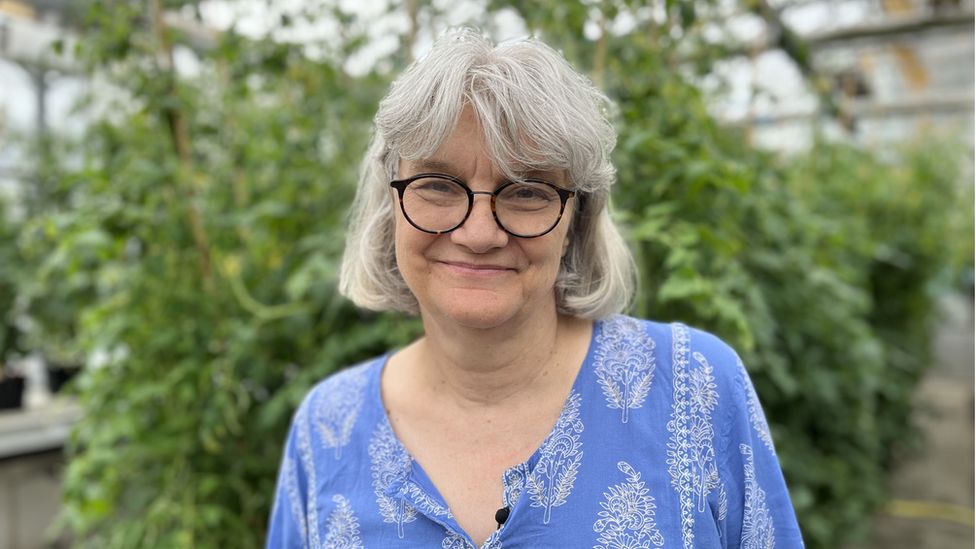 Professor Cathie Martin