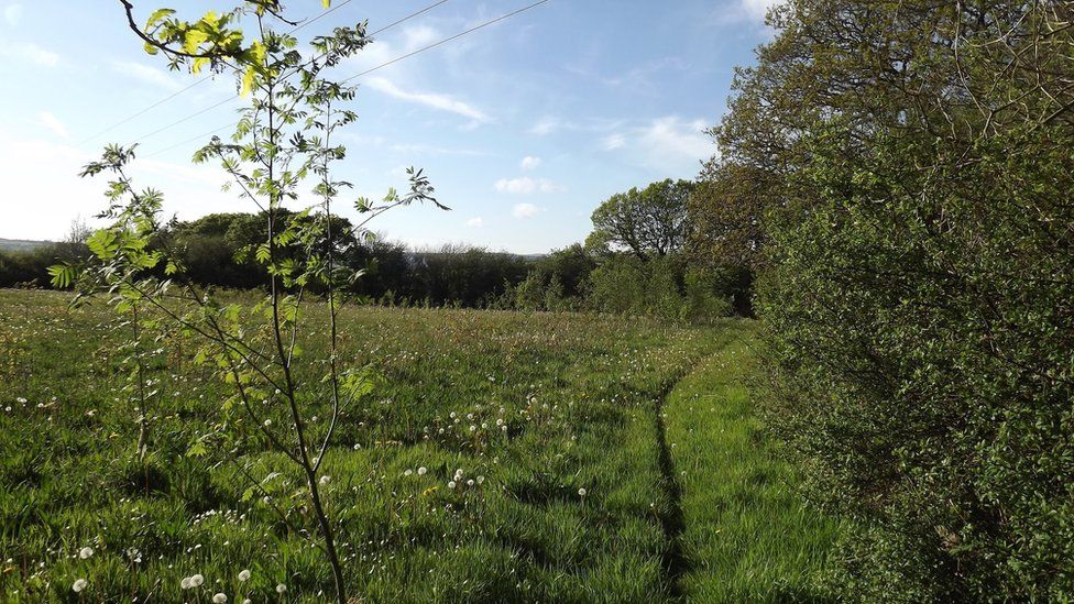 Proposed natural burial ground near Drefelin